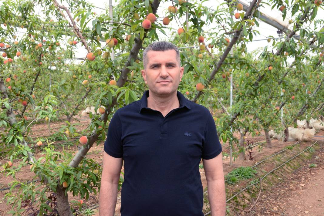 Türkiye'de yetişiyor Almanlar yiyor Türkler bakıyor. Kilo fiyatı ağızları açık bıraktı - Resim: 9